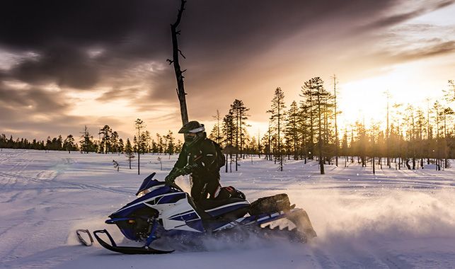 Snowmobiling in Island Park
